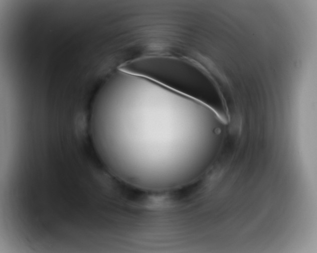 X0000099990560200805231046