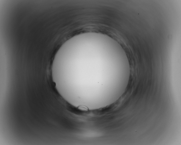 X0000099990561200805231046