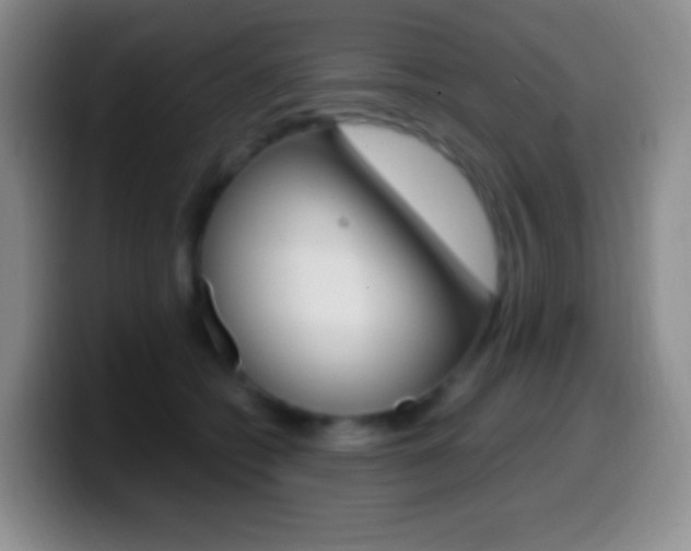 X0000099990562200805231046