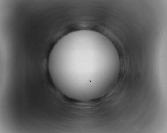 X0000099990563200805231046