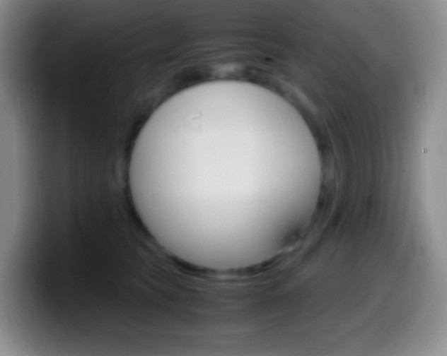 X0000099990565200805231046