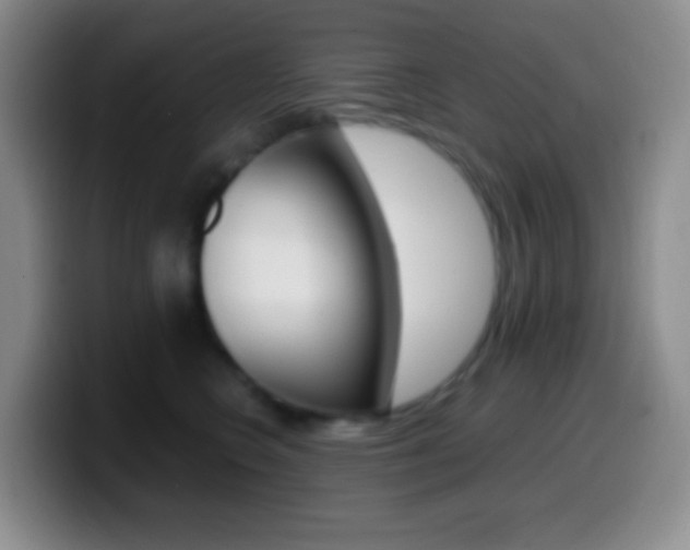 X0000099990566200805231046