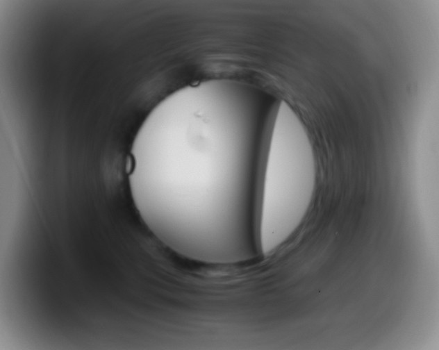 X0000099990567200805231046