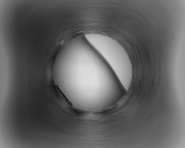 X0000099990568200805231046
