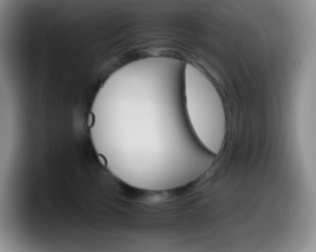 X0000099990569200805231046