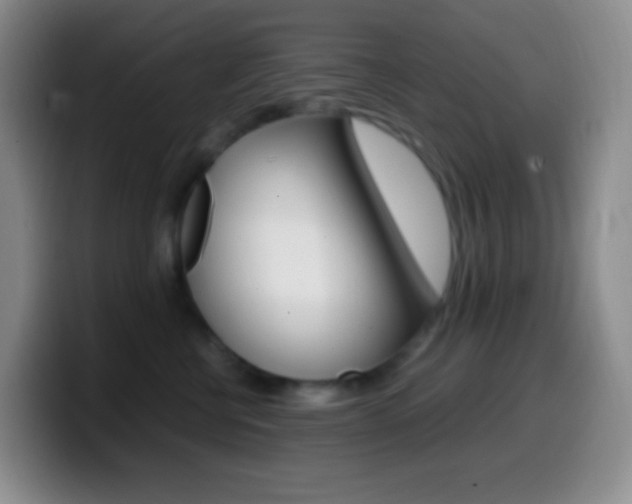 X0000099990570200805231046