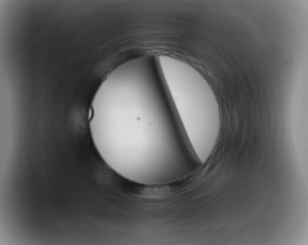 X0000099990571200805231046