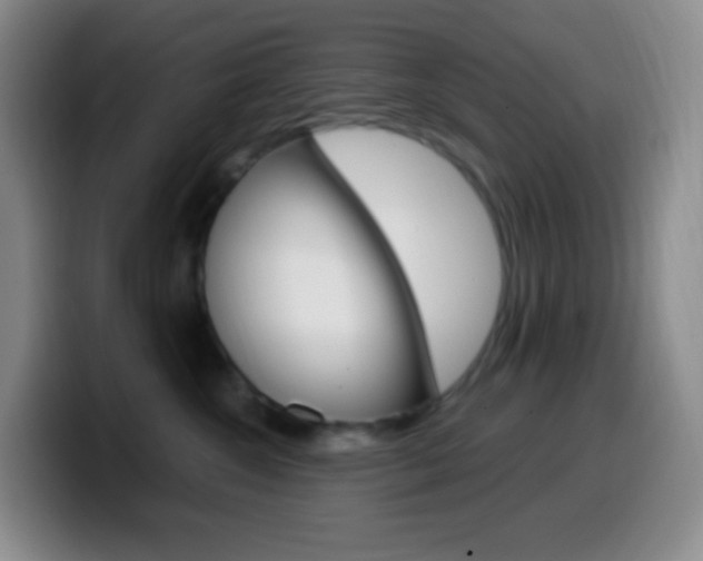 X0000099990572200805231046