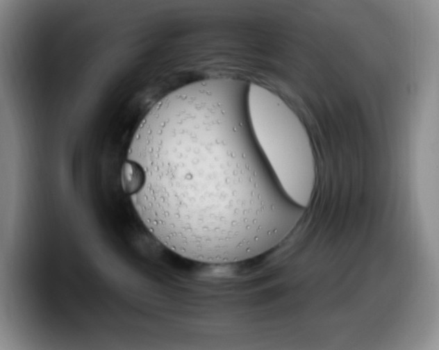 X0000099990573200805231046