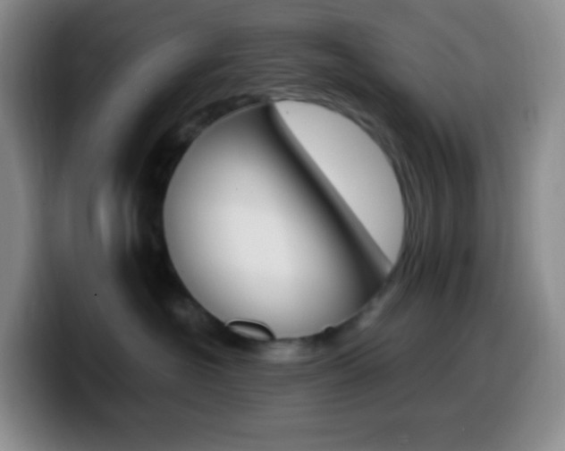 X0000099990574200805231046