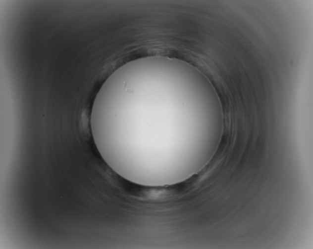 X0000099990575200805231046