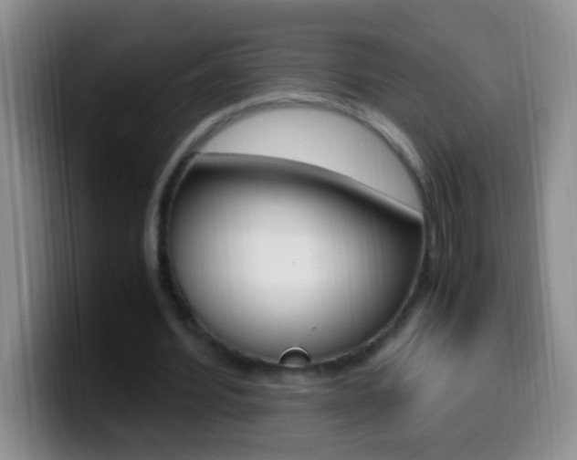 X0000099990580200805231046