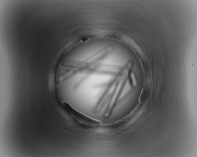 X0000099990585200805231046