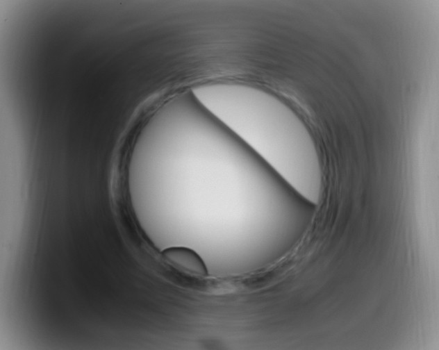 X0000099990587200805231046