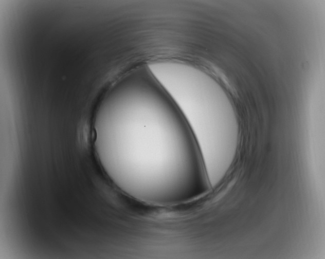 X0000099990589200805231046