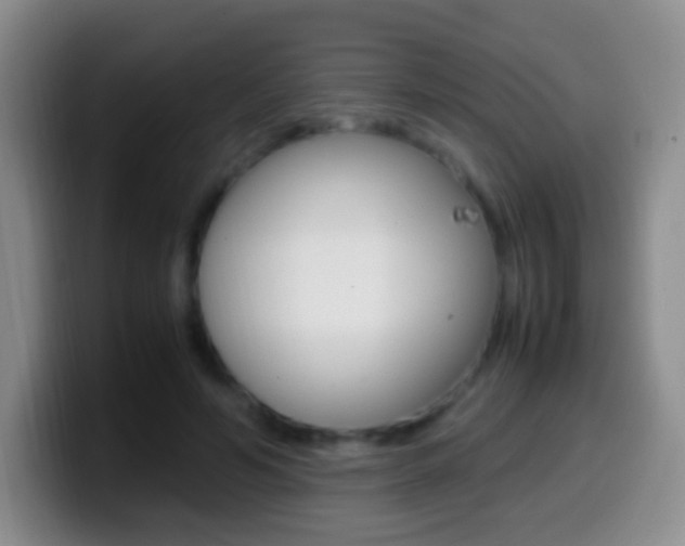 X0000099990594200805231046
