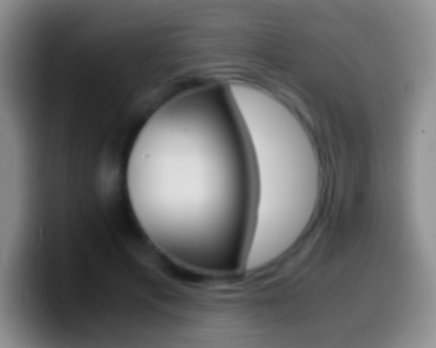 X0000099990597200805231046