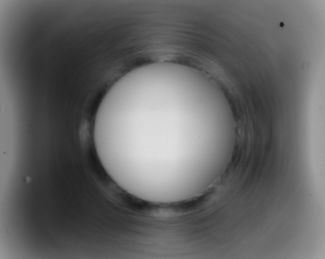 X0000099990598200805231045