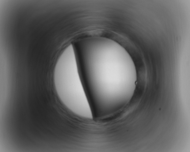 X0000099990600200805231045