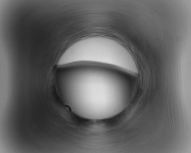 X0000099990601200805231045