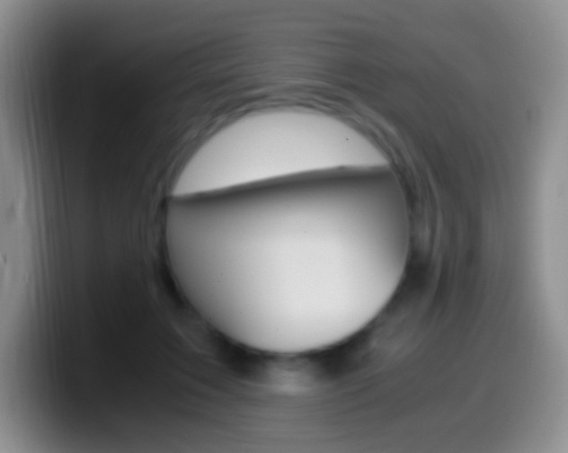 X0000099990603200805231045