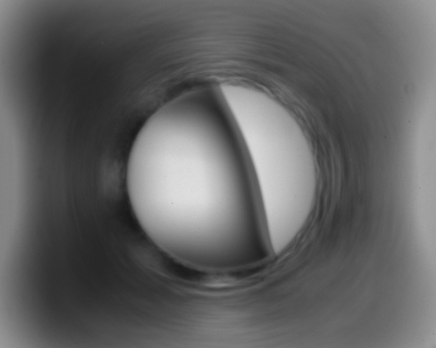 X0000099990605200805231045