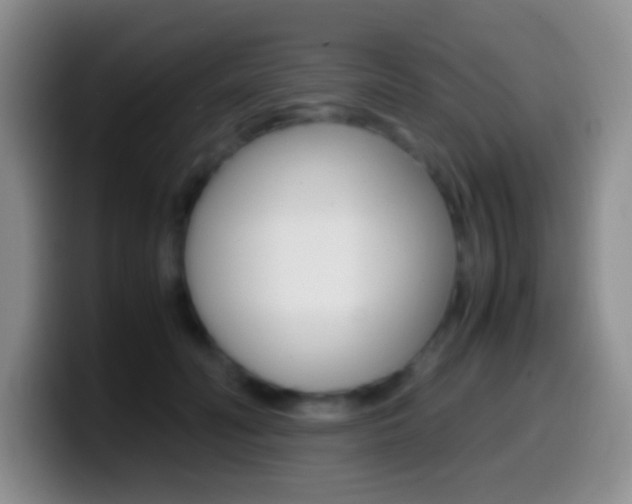 X0000099990606200805231045