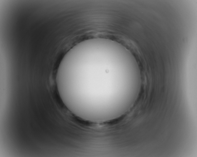 X0000099990607200805231045
