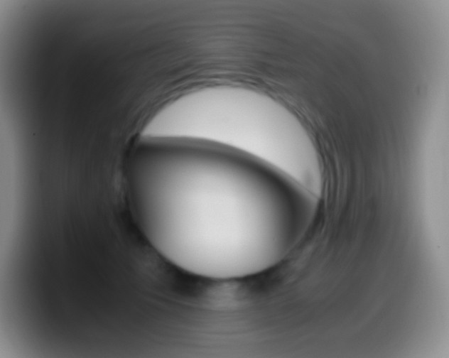 X0000099990609200805231045