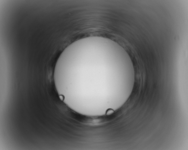 X0000099990610200805231045