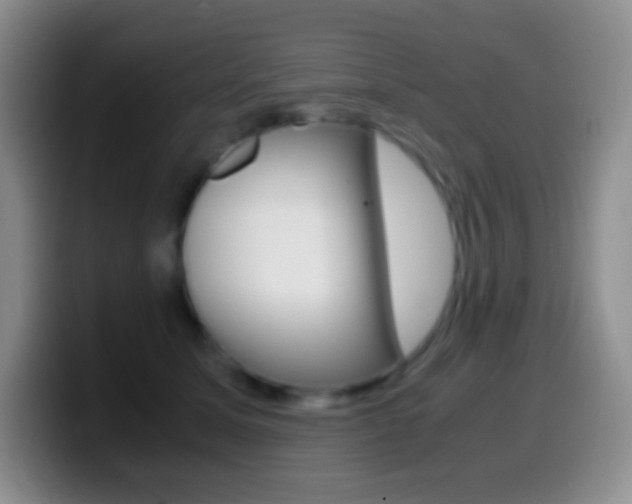 X0000099990611200805231045