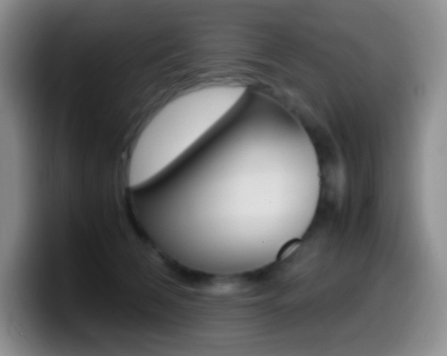 X0000099990612200805231045