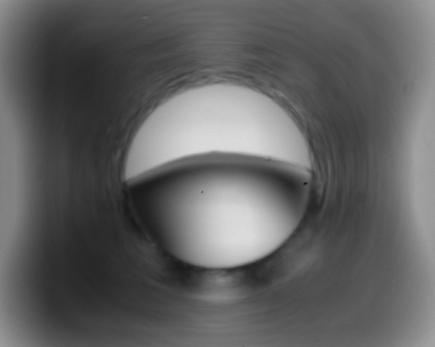 X0000099990613200805231045