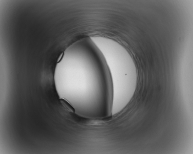 X0000099990617200805231045