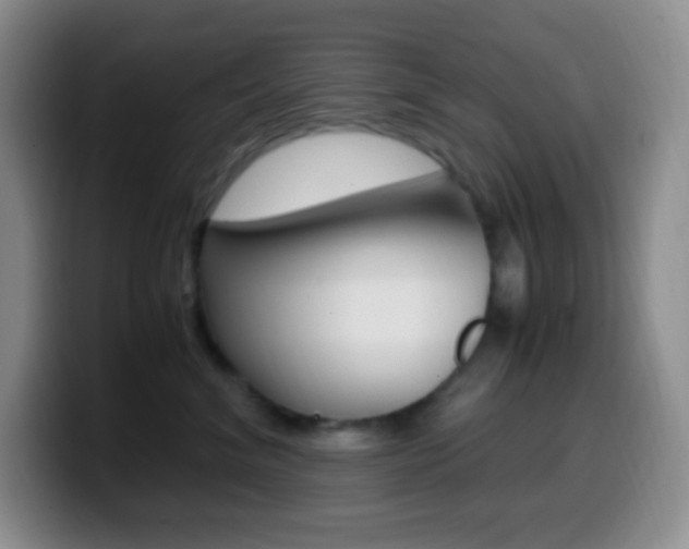 X0000099990620200805231045