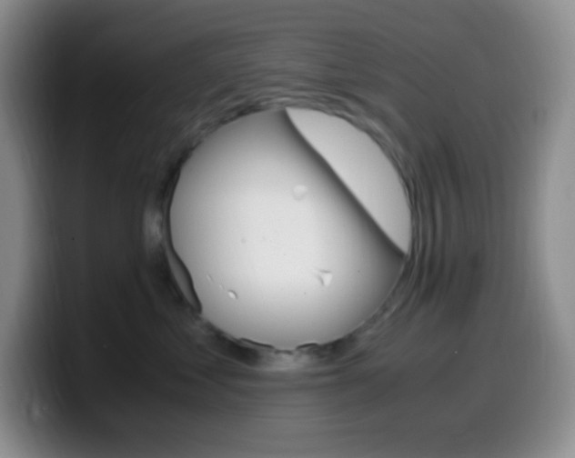 X0000099990621200805231045