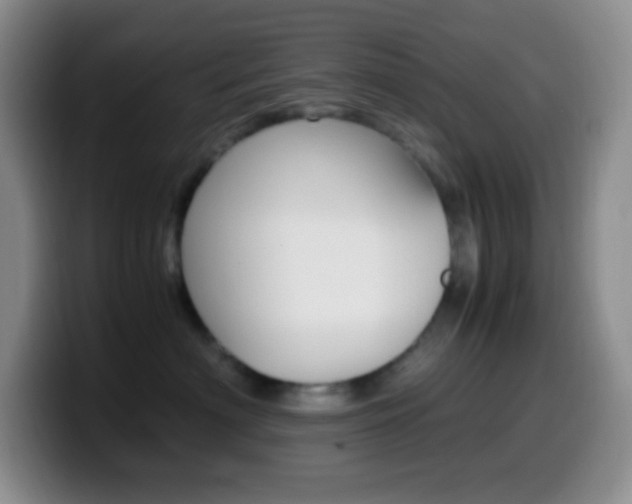 X0000099990622200805231045