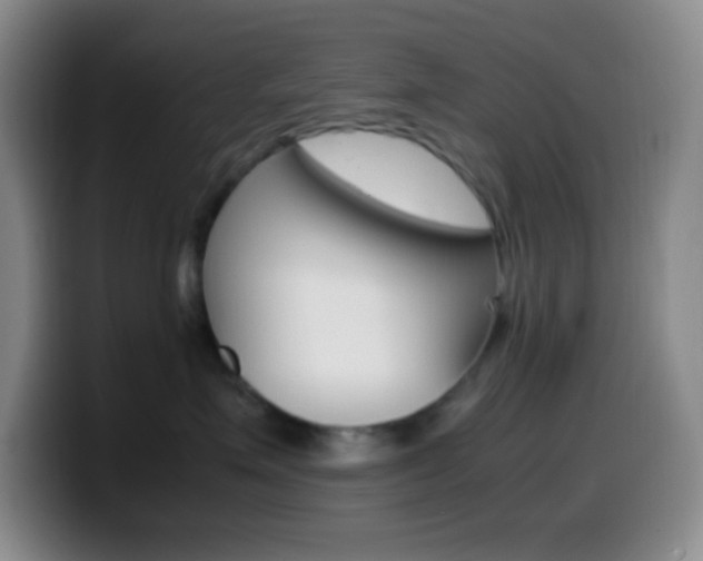 X0000099990623200805231045
