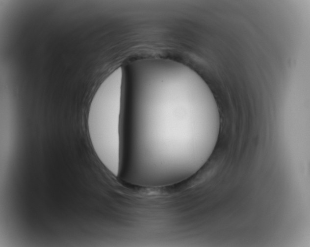 X0000099990624200805231045