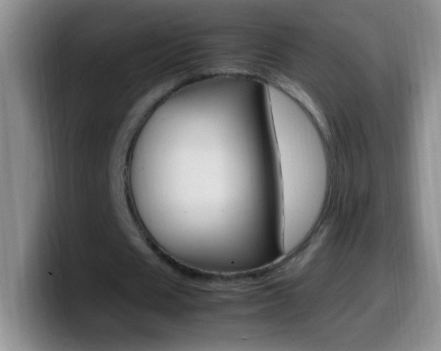 X0000099990625200805231045