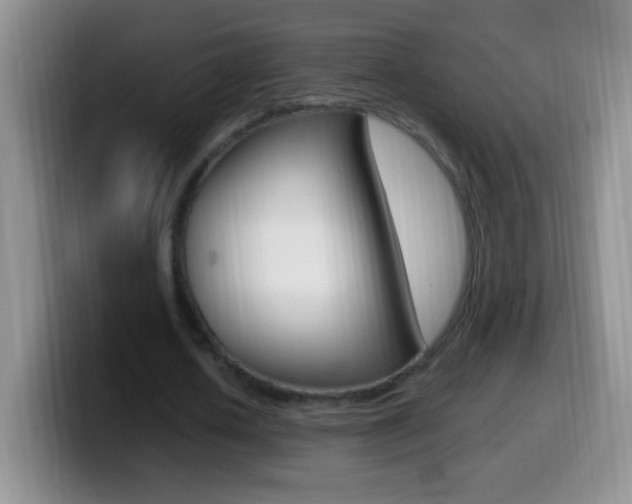 X0000099990626200805231045