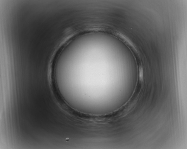 X0000099990627200805231045
