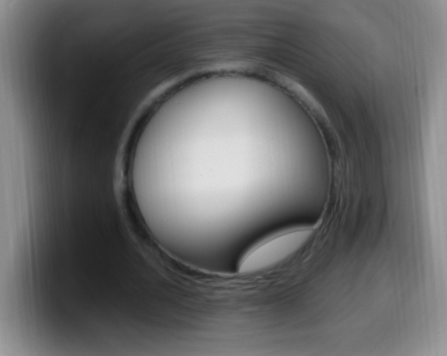 X0000099990628200805231045