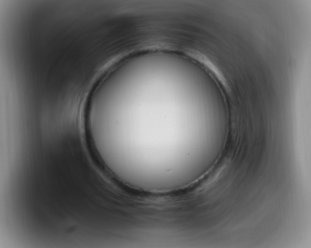 X0000099990629200805231045