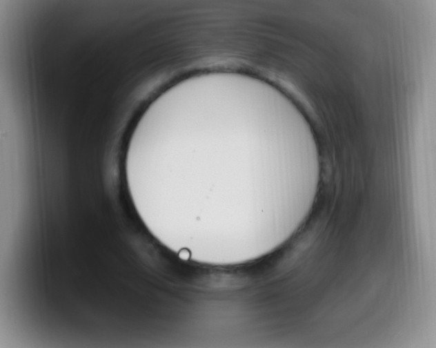 X0000099990632200805231045