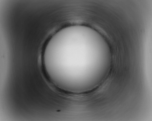 X0000099990638200805231045