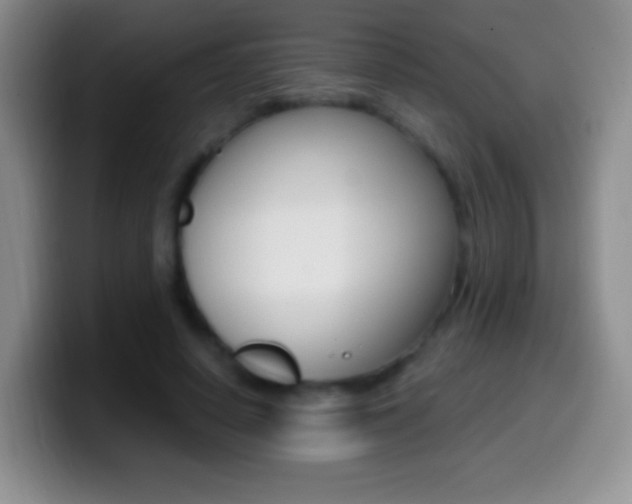 X0000099990642200805231045