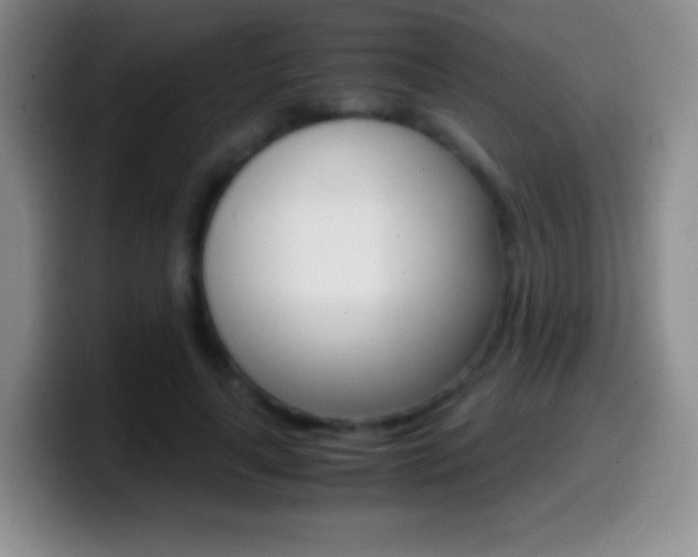 X0000099990643200805231045