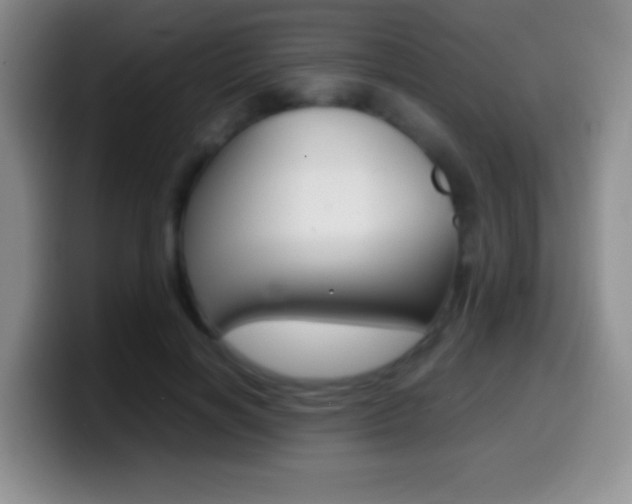 X0000099990646200805231045