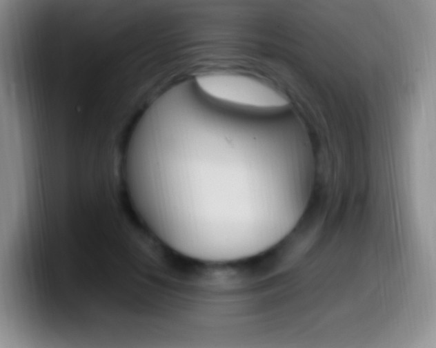 X0000099990650200805231045